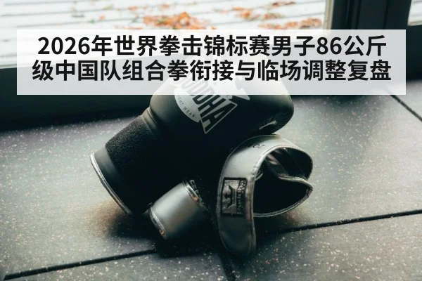 2026年世界拳击锦标赛男子86公斤级中国队组合拳衔接与临场调整复盘（j9 game）